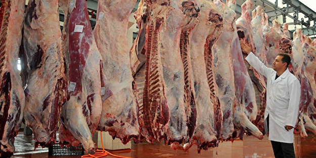 Dana veremi nedir,? Dana veremi (Sığır tüberkülozu) nasıl bulaşır, belirtileri? Et ve süt ürünlerinde tehlike!