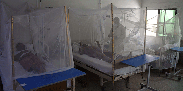 Dang humması kabusu! Son 6 haftada en az 30 kişi öldü