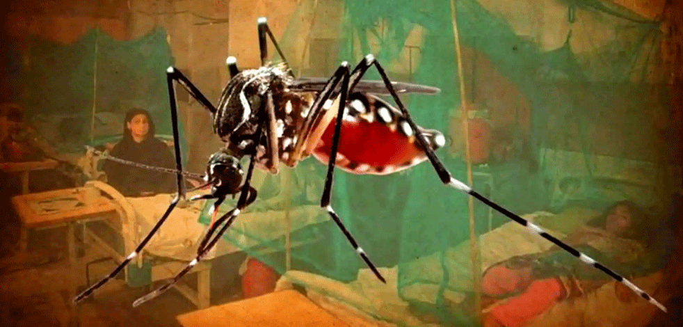 Dang humması yayılıyor! Vaka sayısı 16 bini aştı: 1 günde 463 kişi hastaneye kaldırıldı