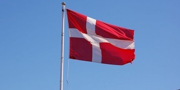 Danimarka şimdi de kedileri itlaf etti