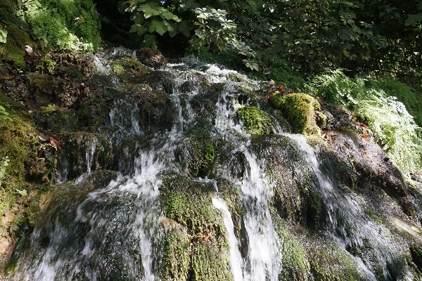 Daphne'nin gözyaşı ilgi çekiyor! Bu doğa harikası Türkiye'de