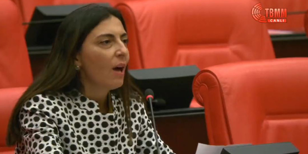 CHP'li vekil Kürtçe provokasyonunu Meclis'e taşıdı! Peki Erdoğan'ın bu görüntülerine ne diyeceksiniz?