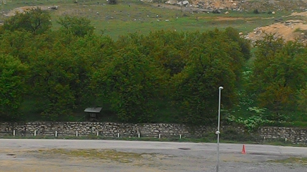 Darende’de zirai don ve monilya hastalığı kayısılarda sorun 