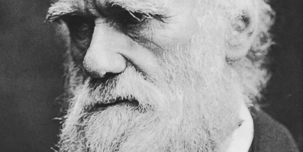 Darwin anavatanında yasaklandı