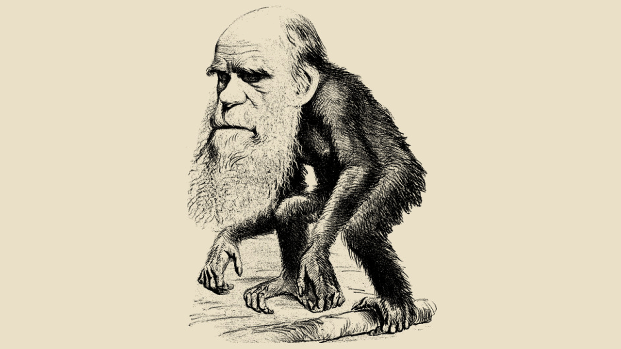 Darwin’cilere soğuk duş gibi araştırma! Evrim safsatacıları şimdi buna ne diyecek?