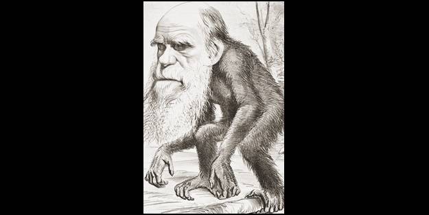 Darwin'in 'evrim' yalanını çaldığı ortaya çıktı! 