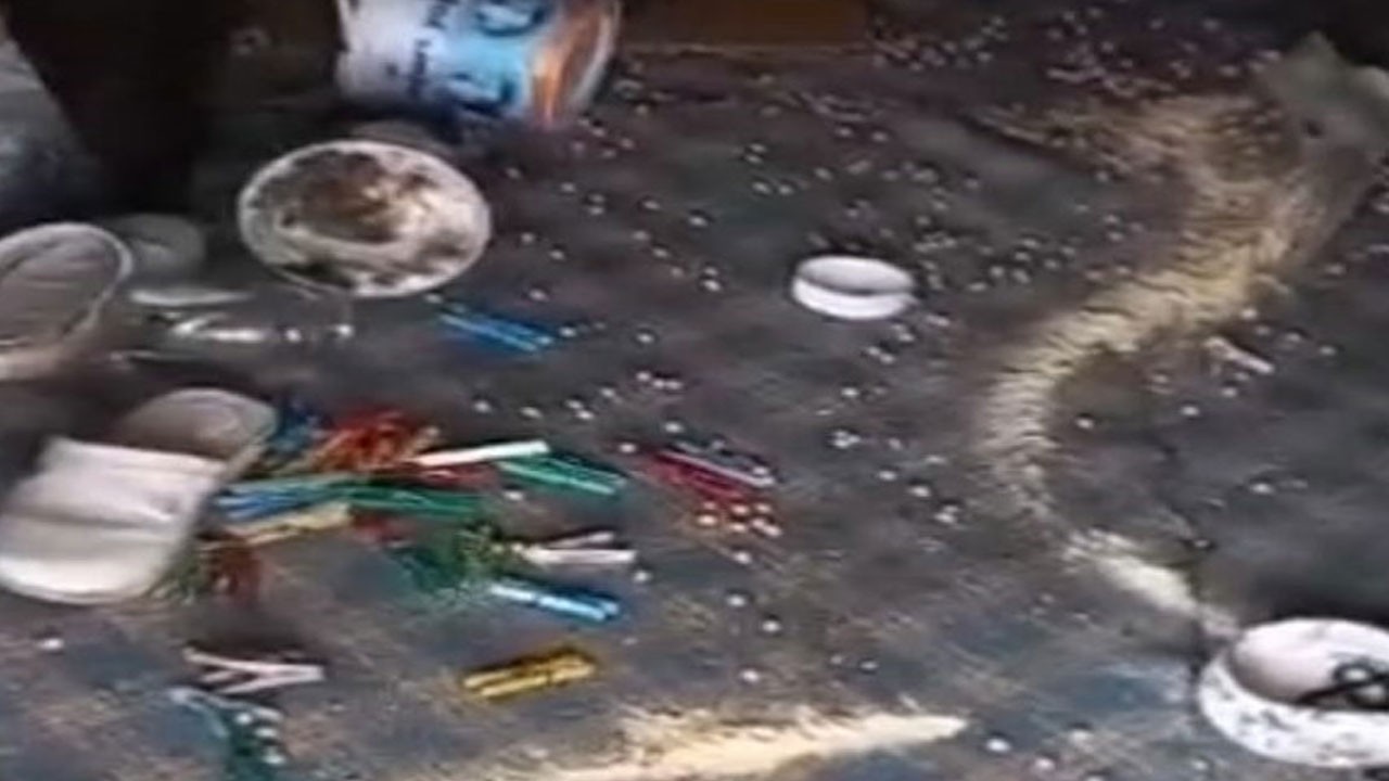 Davetsiz misafir! Ayı evi bastı, vatandaşın sitemi gülümsetti