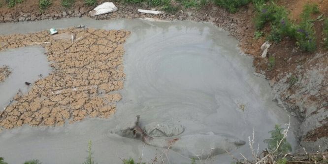 Bentonit kuyusuna düşen ineği itfaiye kurtardı