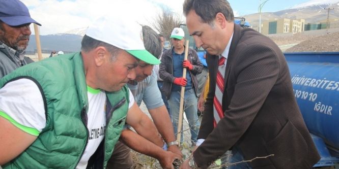 Suveren Kampüsü ağaçlandırma çalışmaları