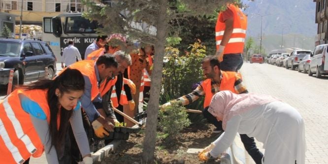 Hakkari yöreye has çiçeklerle renklenecek