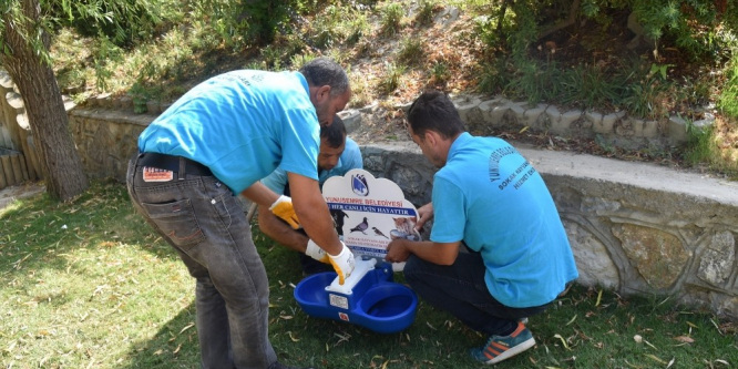 Manisa’da yaz aylarında sokak hayvanları unutulmadı