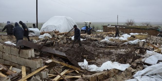 Barınak çöktü, onlarca hayvan telef oldu