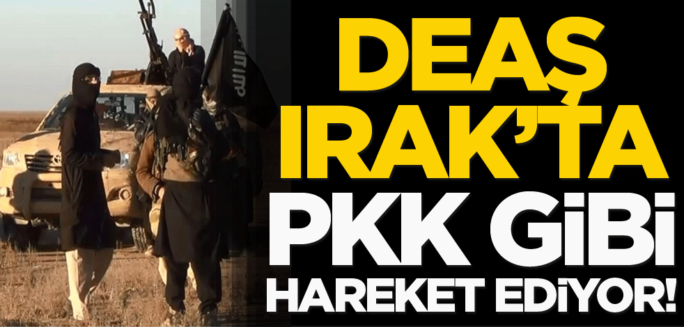 DEAŞ Irak’ta PKK gibi hareket ediyor!