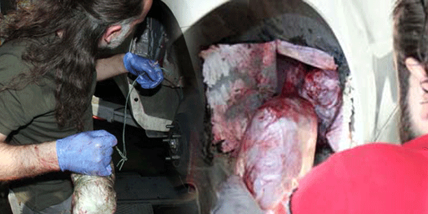 Dedektifler peşine düştü… Lüks otomobilden sarkıyordu! Polis ipi çektiği an