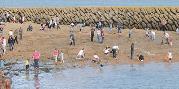 Dedektörü alan sahile akın etti