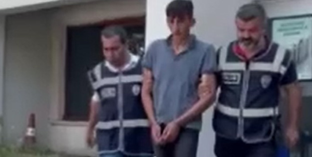 Dedesini bıçaklayarak öldürdü!