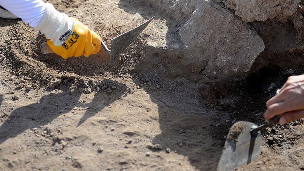 Define ararken az daha canlarından oluyorlardı!