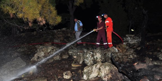 Define ararken ormanı yaktılar! 2 dönüm arazi zarar gördü
