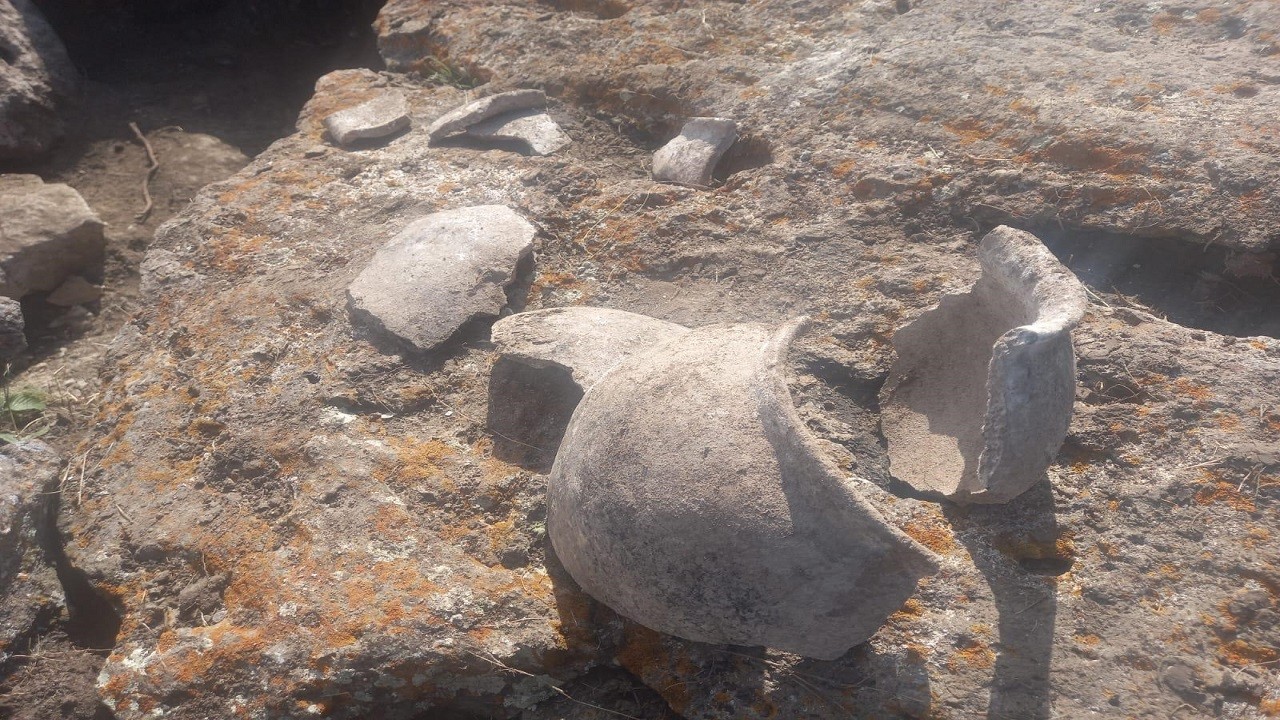 Define avcıları o bölgeyi delik deşik etti