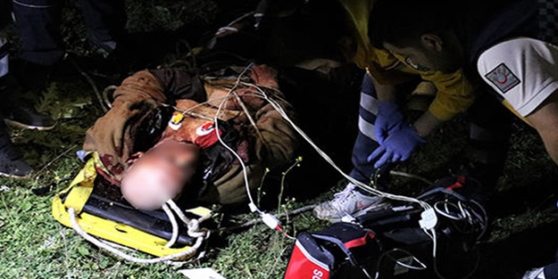 Define bulma hırsı canından etti