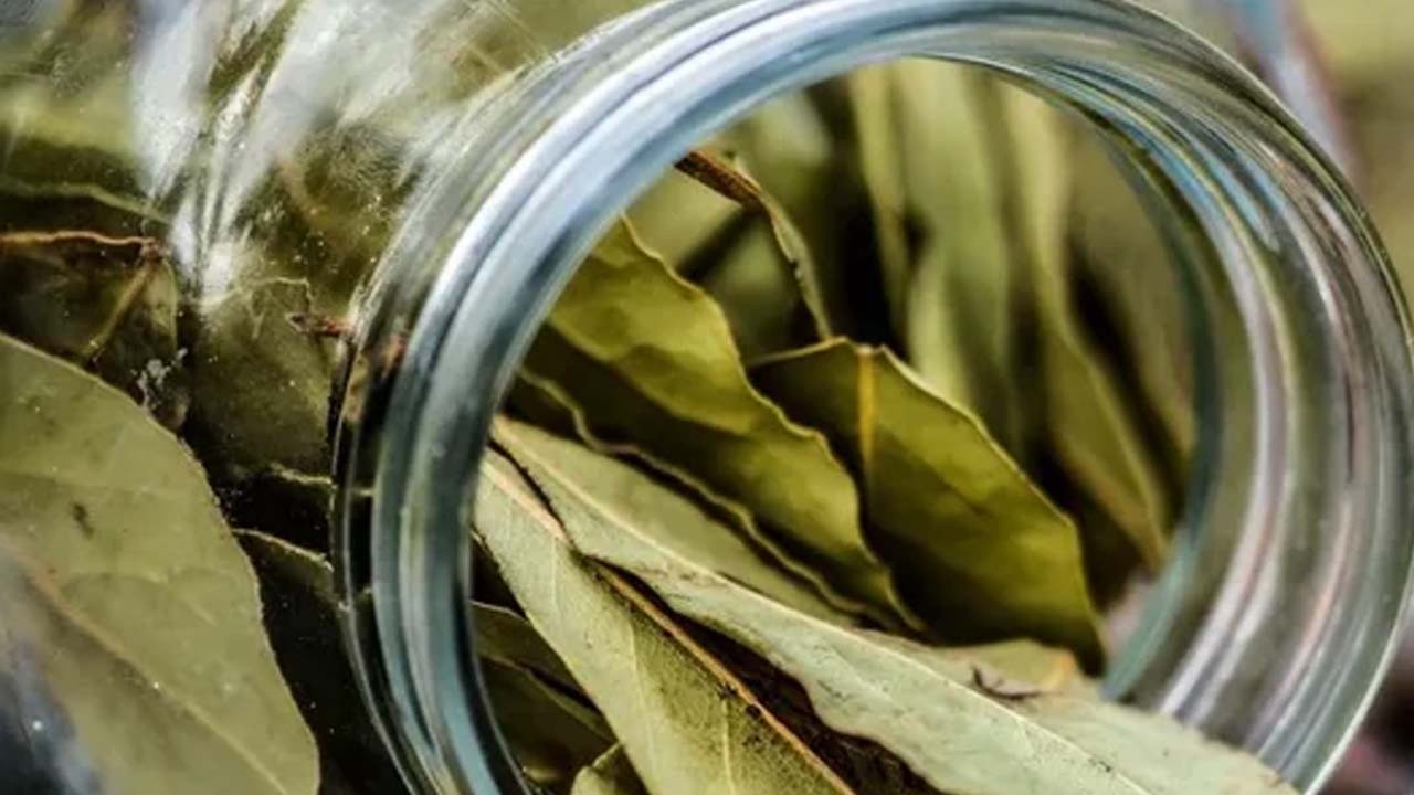 Defne yağı, yağları yok ediyor!