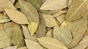 Defne yaprağı ne işe yarar, neye iyi gelir? Faydası: Kimyasal bileşiklere izin vermiyor, tarihe karışacak gibi