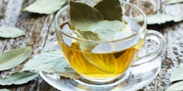 Defne yaprağının faydaları saymakla bitmiyor: Kokusu bile sakinleştiriyor! Tam yararını hala kimse bilmiyor