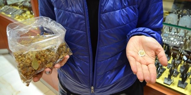 Değeri bilinmeyen bitki, altının fiyatını geçti!