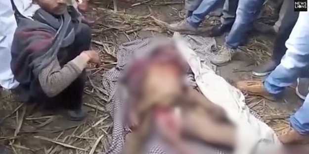 Dehşet anları kamerada! Avını bırakan kaplan bir anda insanlara saldırdı