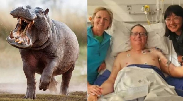 Dehşet dolu su aygırı saldırısı! İşte mucizevi kurtuluşun hikayesi