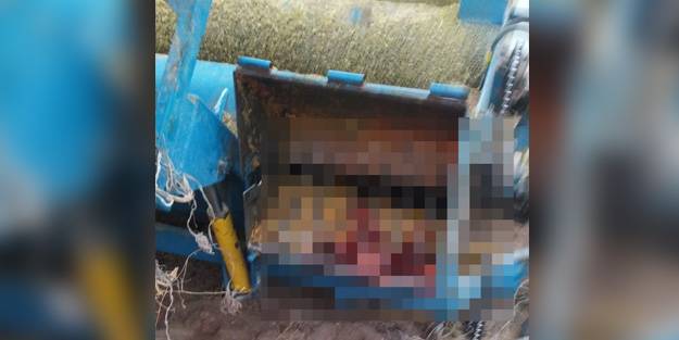 Dehşet! Kabak çekme makinesine düşen kadının ayakları koptu
