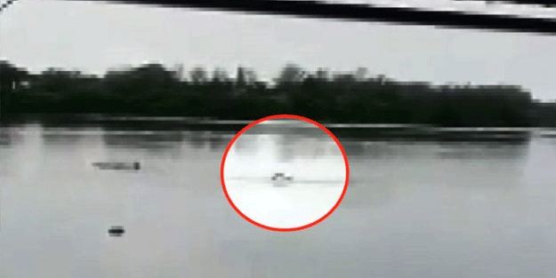 Dehşete düşüren anlar kamerada! Timsah insanı canlı canlı yedi