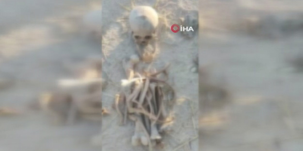 Dehşete düşüren görüntü! Bölgede insan iskeletleri bulundu