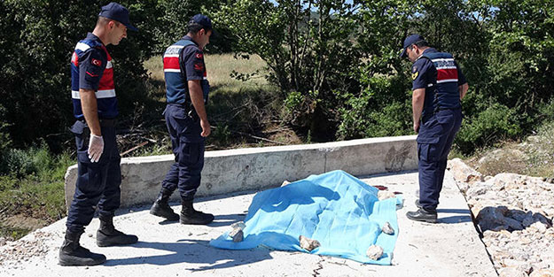 Dehşete düşüren görüntü! Yüzü parçalanmış halde bulundu