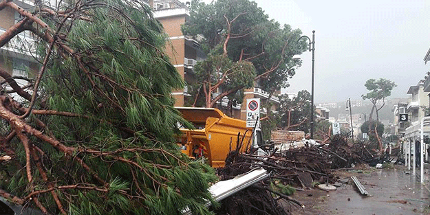 Dehşete düşüren görüntüler!