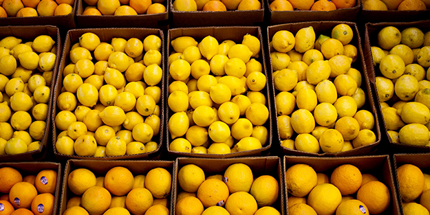 Dehşete düşüren iddia! Türkiye'den gönderilen limonlarda tespit edildi, o ülke hemen iade etti