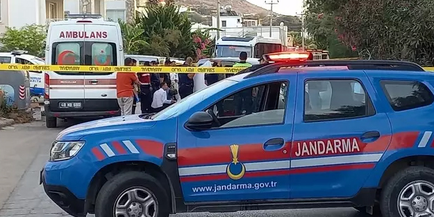 Dehşete düşüren olay: Avukatını ve emekli icra müdürünü araçta katletmişti, hapse atıldı