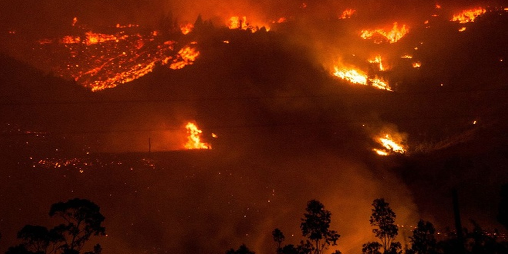 Dehşete düşüren orman yangını!