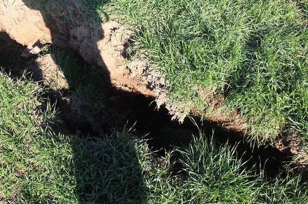 Dehşetin boyutu böyle kaydedildi! Fay hattının geçtiği yerler bu hale geldi