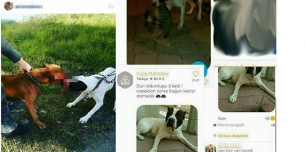 Dehşetin fotoğraflarına rekor ceza!