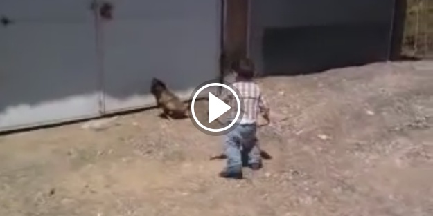 Delikanlılık horoza sökmüyor