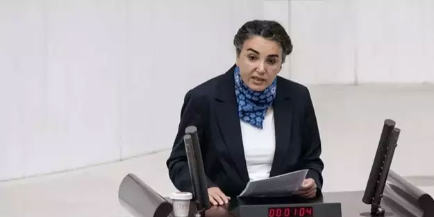 DEM Partili Çiçek Otlu: Köpek saldırırsa ihbar etmeyin