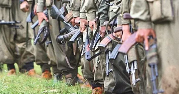 DEM partili Meral Danış "Silahları bırakın" çağrısı yaptı! Ama mesaj PKK’ya değil