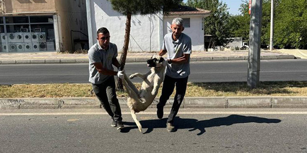 DEM Partili Silvan Belediyesi'nden geri adım! Önce paylaşıp sonra silerek özür dilediler