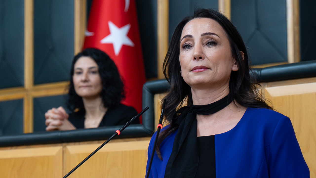 DEM’den ilk açıklama geldi: İmralı'da neler konuşuldu?