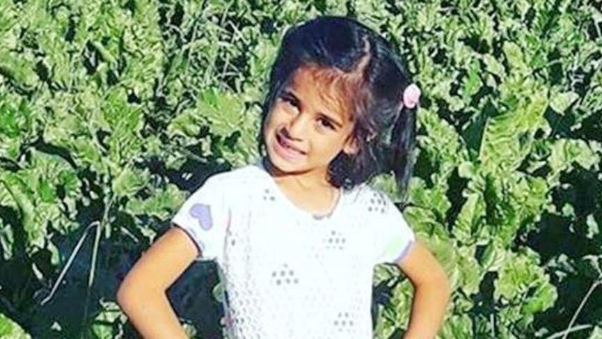 Demet Akalın'dan sert tepki: Pislik!