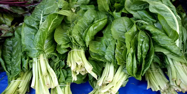 Demeti 30 lira: Yiyen 100 yaşını hedefliyor!