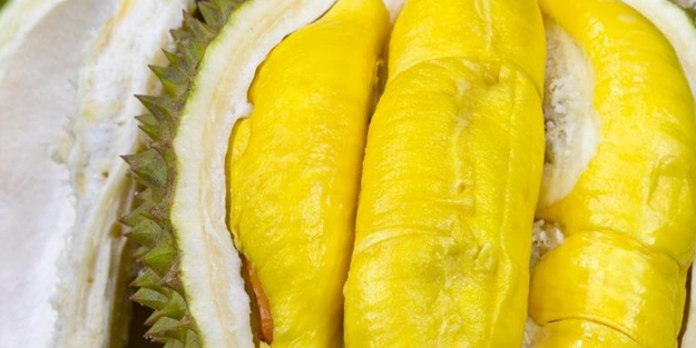 Demir eksikliğini yok ediyor: Daldaki hazine! 3 kat fazla C vitamini içeriyor!