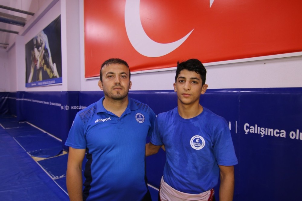 Demir, 