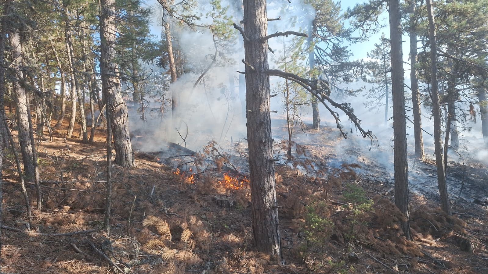 Demirci'de orman yangınına havadan müdahale